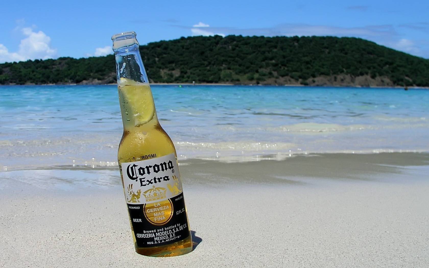 Пиво «корона (corona): описание и виды марки