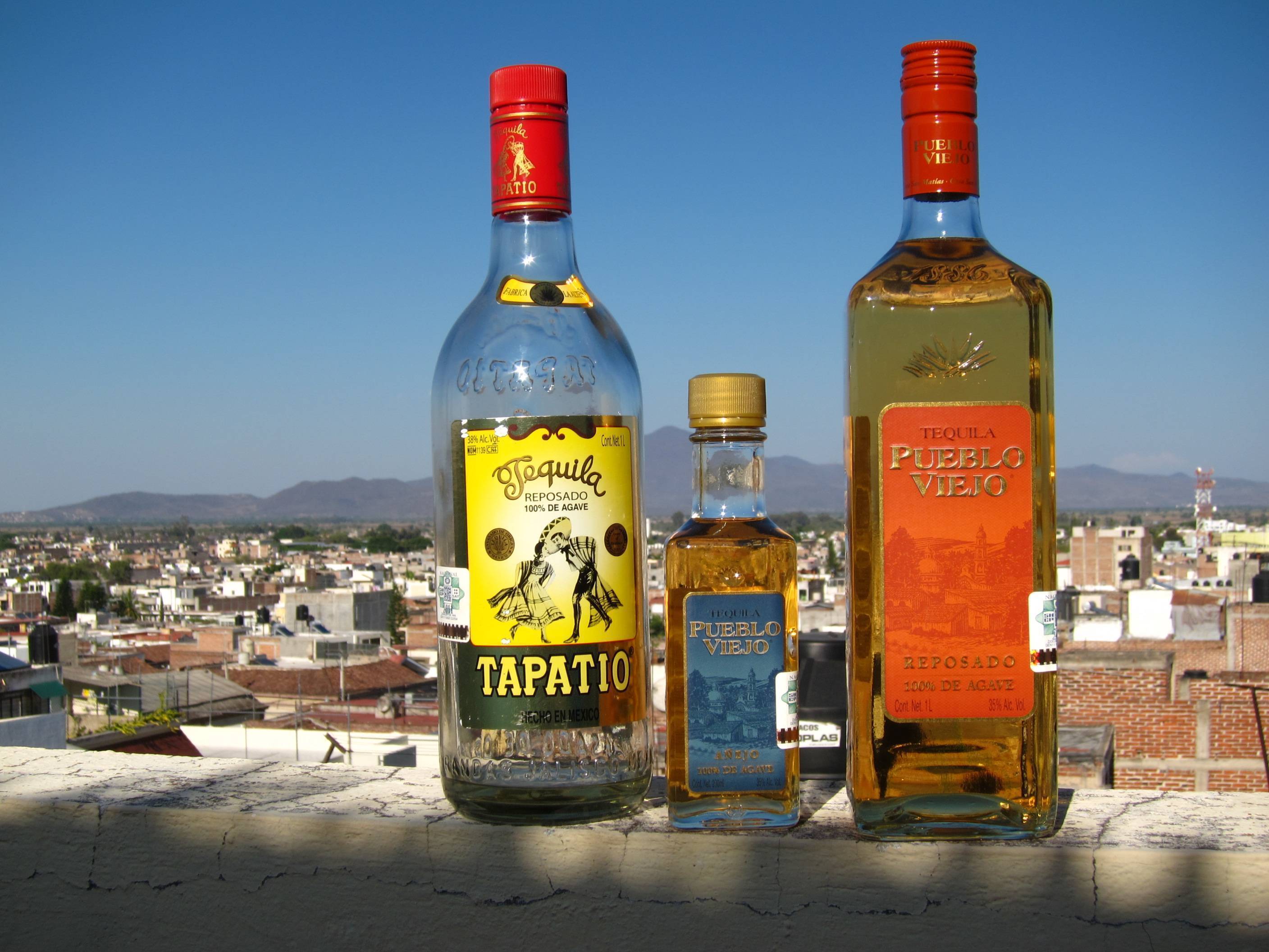 Виды текилы: названия, описание и фото «ольмека» и других лучших сортов мексиканского напитка, обзор цен