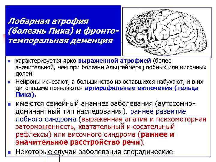 Атрофия головного мозга продолжительность. Морфологические изменения при болезни Альцгеймера. Атрофические процессы головного мозга. Болезнь Альцгеймера поражение. Атрофические изменения коры головного мозга.