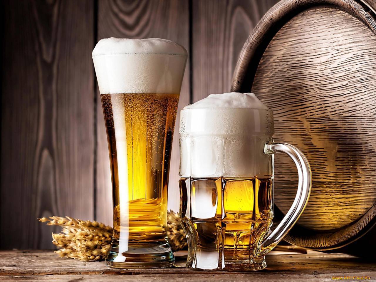 Классификация пива, виды пива и сорта пива