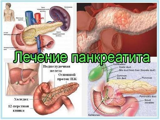 Панкреатин: инструкция по применению препарата | rvdku.ru