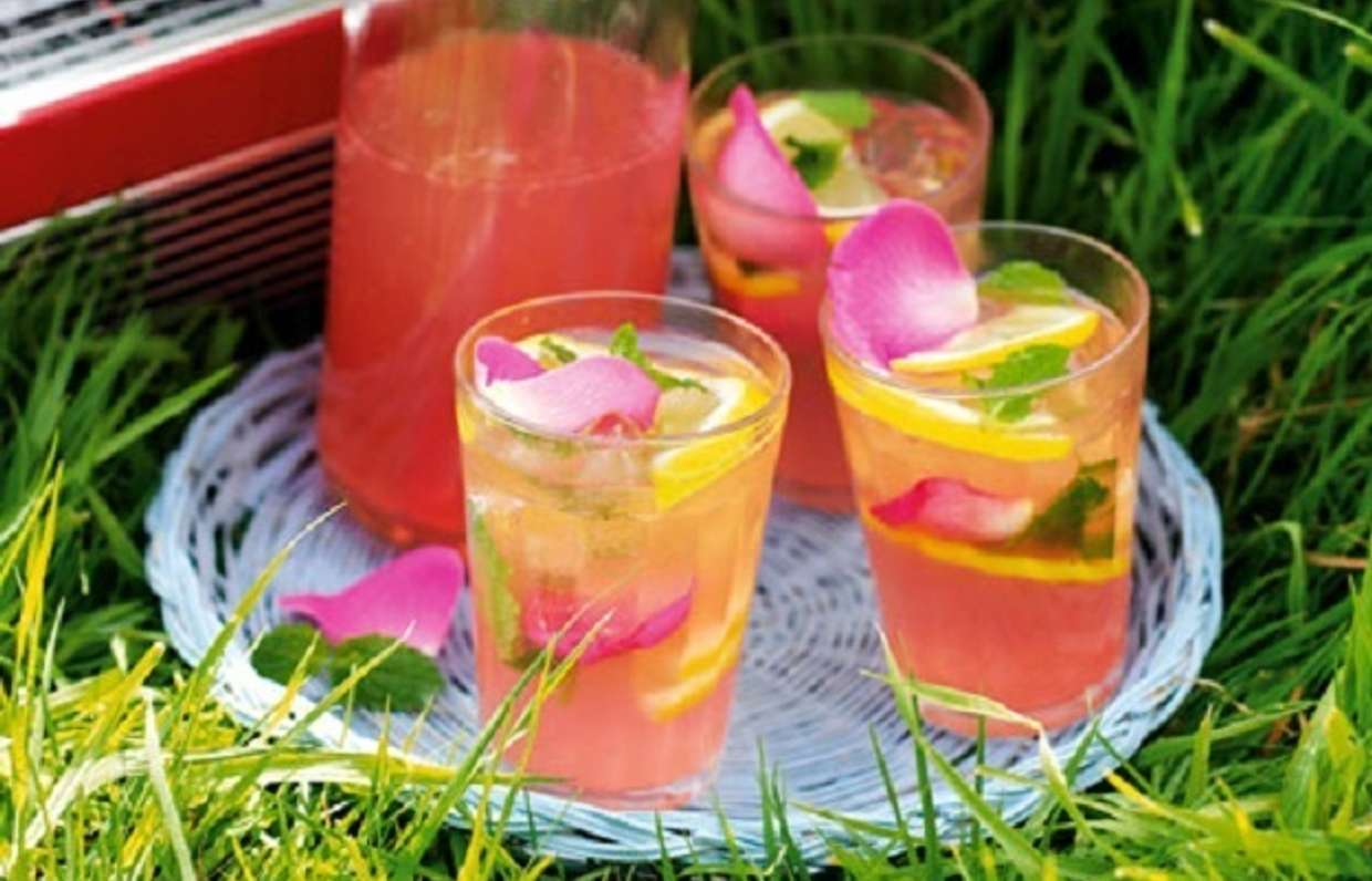 Несколько рецептов алкогольных коктейлей с апельсиновым соком