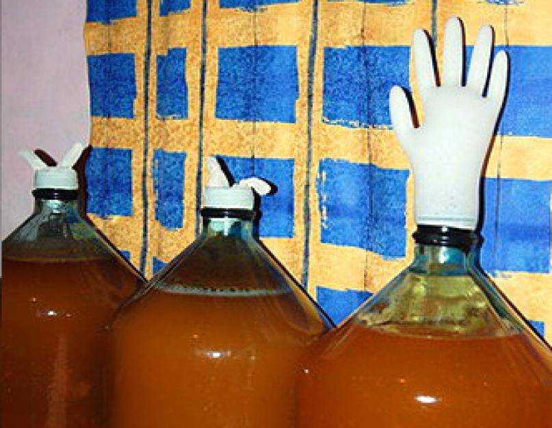 Кальвадос в домашних условиях из яблок: как приготовить настоящий напиток