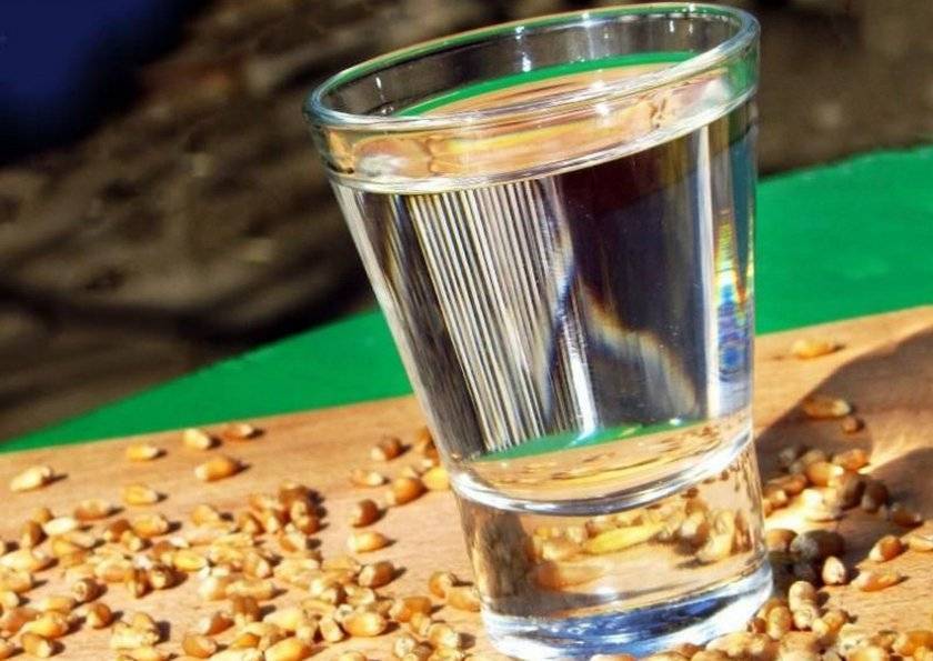 Брага из кукурузы для самогона