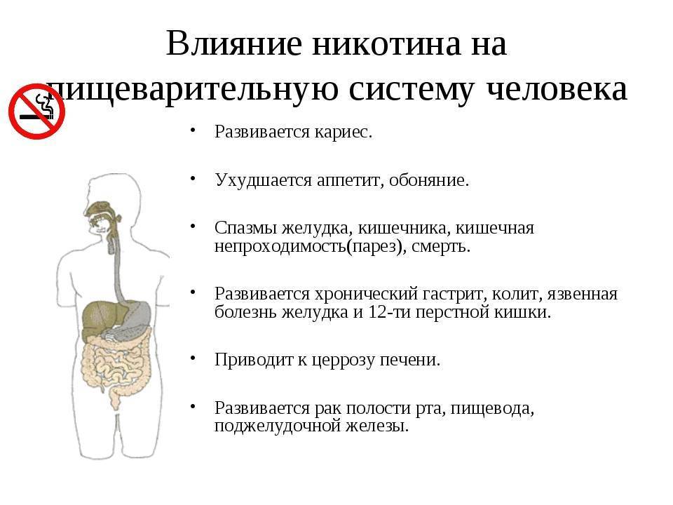 Проблемы пищеварительной системы. Влияние курения на органы пищеварения. Воздействие никотина на пищеварительную систему. Влияние курения табака на пищеварительную систему.