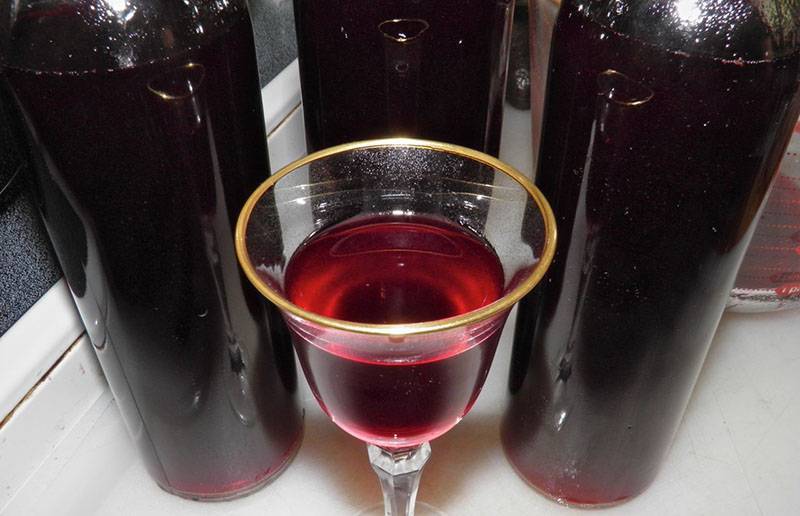 Как делать вино из винограда лидия в домашних условиях? несложные рецепты своими руками