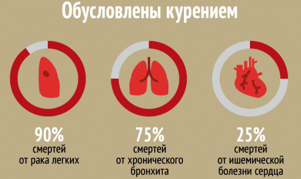 Может из за. Статистика заболеваний от курения. Статистика смертности от курения. Болезни от курения статистика. Статистика смертей от курения.