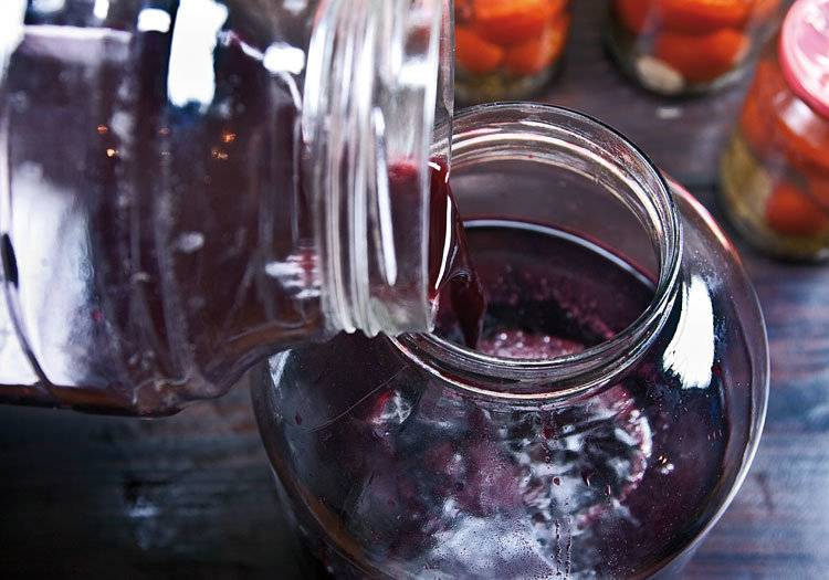 Как сделать вино из черноплодной рябины: пошаговый рецепт вина из черноплодки, кагорная технология