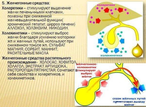 Какие желчегонные препараты нужны при перегибе желчного пузыря?