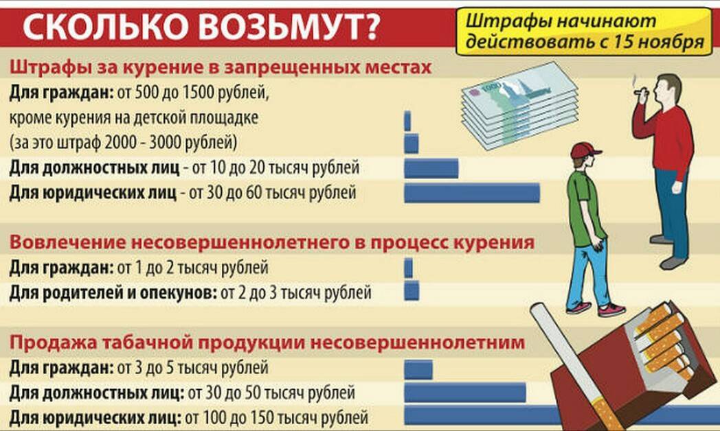 Закон о сдаче телефона в школе 2023