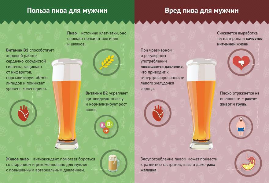 Можно ли употреблять протеин и алкоголь | proka4aem.ru