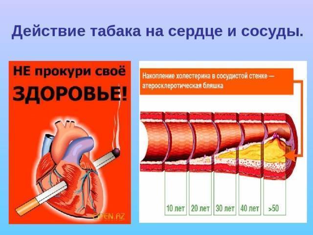 Бросил курить сосуды. Влияние табака на сердце и сосуды. Влияние курения на сердце. Влияние табакокурения на сердце и сосуды. Табакокурение влияние на сердце.