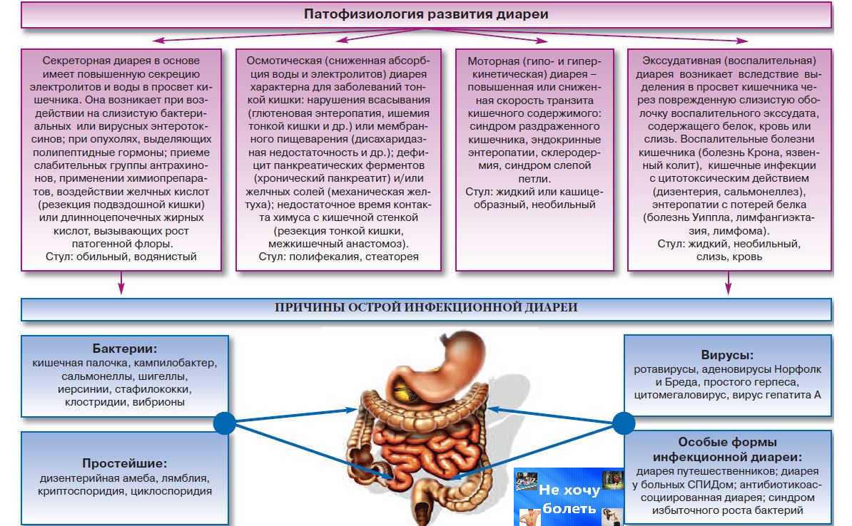 Диарея лечение у взрослых. Виды диареи. Типы диареи инфекционные болезни. Диарея классификация. Причины развития диареи.