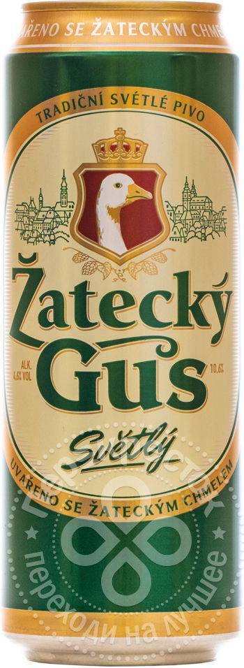 Пиво žatecký gus («жатецкий гусь») - 125 фото, обзор вкусовых качеств, состав и описание внешнего вида