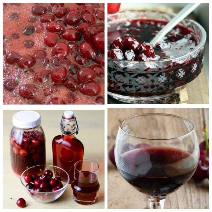 Как сделать вишневое вино - рецепты без водки, сухое, без косточек, без сахара.