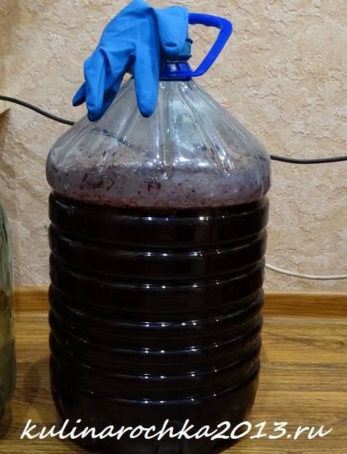 Простой рецепт вина из винограда изабелла в домашних условиях