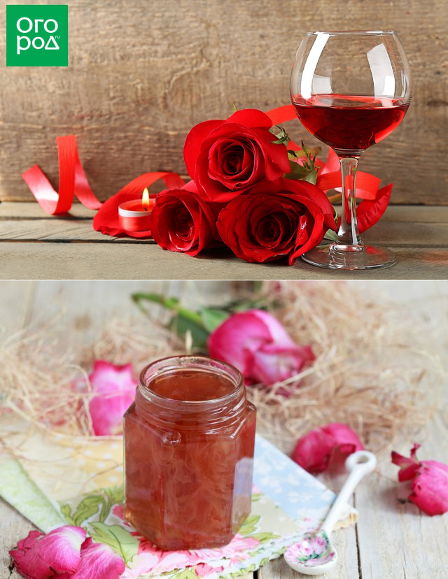 Розовое масло из лепестков роз в домашних условиях как сделать рецепт с фото