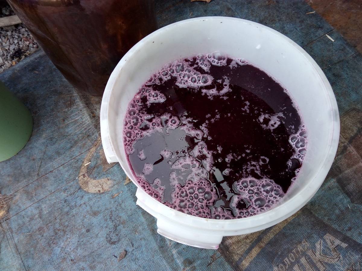 Рецепт приготовления чачи из винограда в домашних условиях, способ изготовления и очистки виноградного напитка