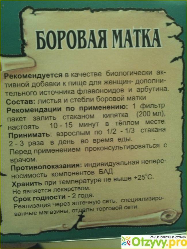 Буровая матка. Боровая матка инструкция. Трава Боровая матка показания. Боровая матка трава инструкция. Боровая матка лекарство.