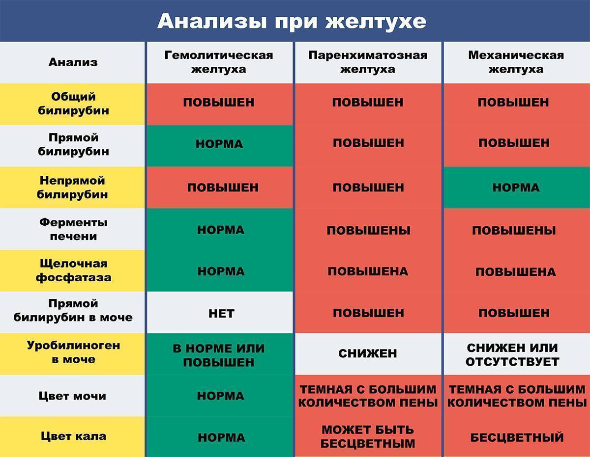 Анализ мочи при желтухе