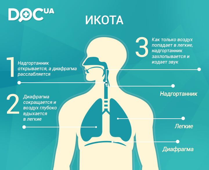 Кашлял 3 дня. Икота. Икота причины. Почему человек икает. Методы избавления от икоты.