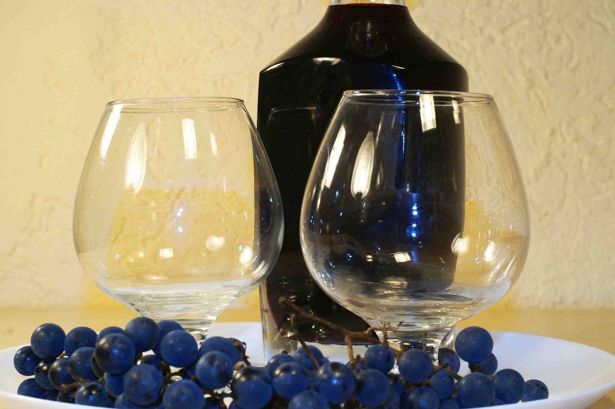 Наливка из винограда: рецепт в домашних условиях, как сделать виноградную наливку на водке или на спирту