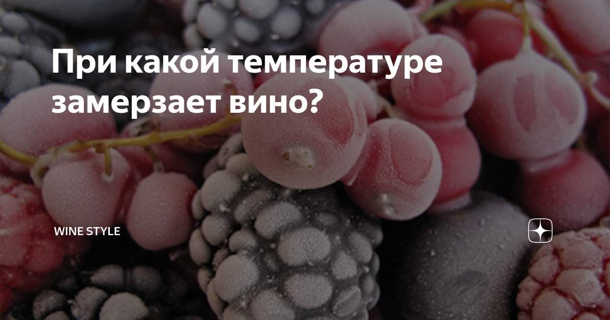 Вино при температуре. Замораживается ли вино. Вино замерзает при. При какой температуре замерзает вино. Температура застывания вина.