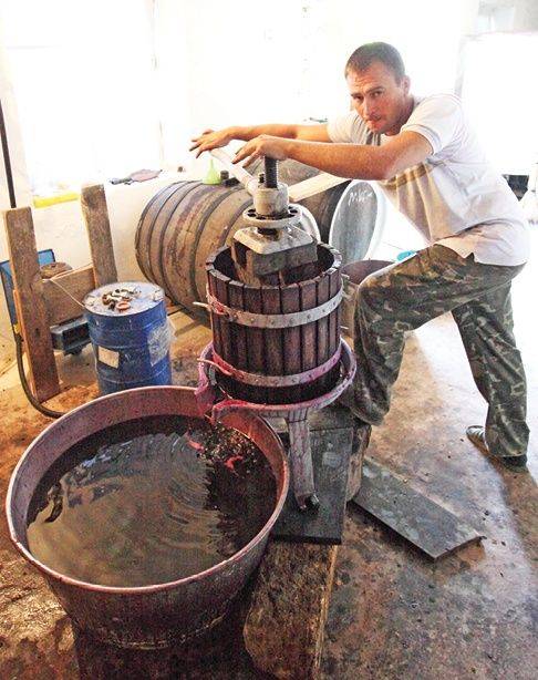 Оборудование для производства вина: все, что нужно начинающему виноделу