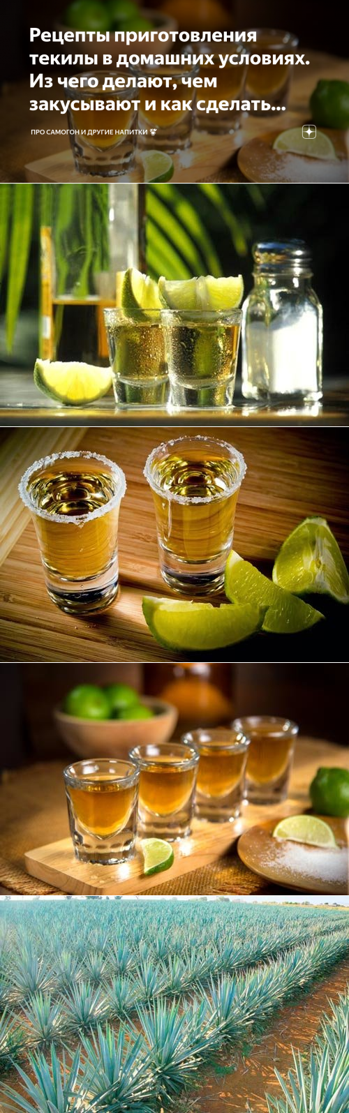 Текила из самогона: простые рецепты имитации мексиканского алкоголя