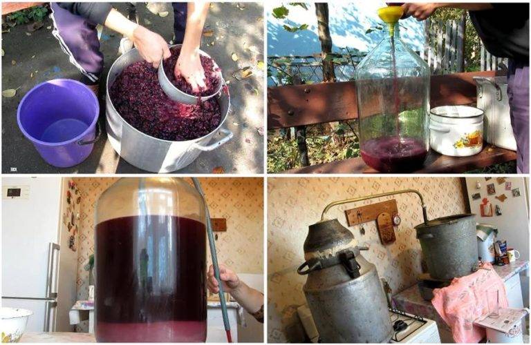 Чача из винограда в домашних условиях: как делать брагу и на ее основе приготовить напиток, и простой рецепт приготовления, правильное хранение и употребление