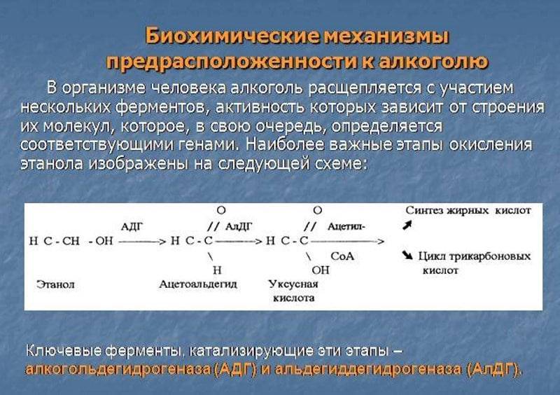 Биохимическая изменение организма