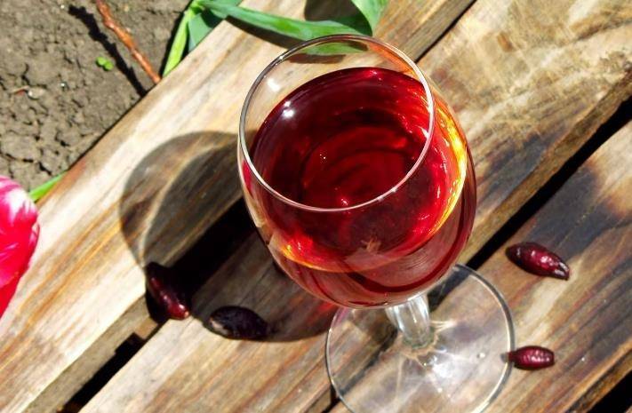 Вино из шиповника: как сделать в домашних условиях, 3 простых рецепта