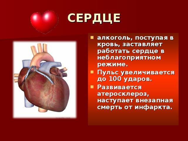 Как питаться при стенокардии?