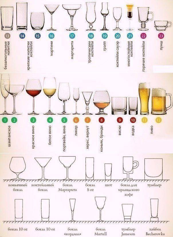 Как выбрать бокалы для пива: виды для разных сортов и обзор моделей