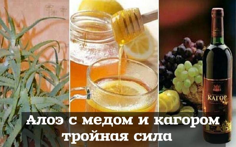 Алоэ с медом рецепты для желудка. Смесь лечебная : алоэ, кагор, мед. Алоэ мед кагор. Настойка на алоэ кагоре и меде. Настойка с кагором алоэ алоэ медом.