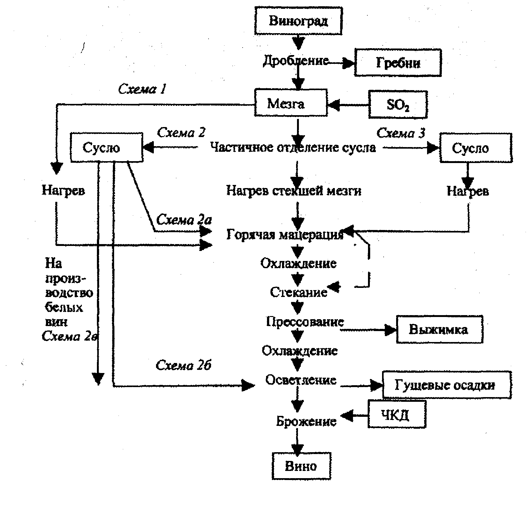 1 вин схемы. Принципиальная технологическая схема производства вина. Технологическая схема производства красных вин. Технологическая схема производства вина из винограда. Производство вина технология схема.