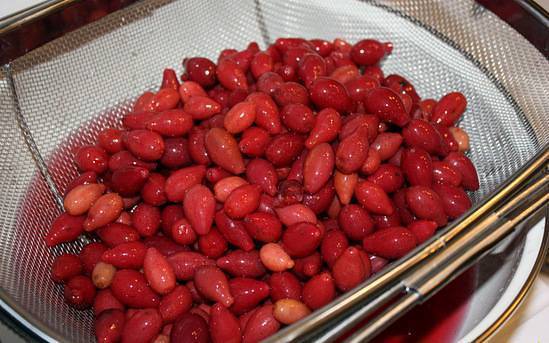 Как сделать самогон из ягод кизила. приготовление кизиловой настойки