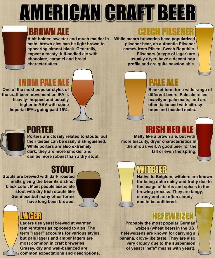 Пиво eve: дегустационные характеристики и особенности напитка