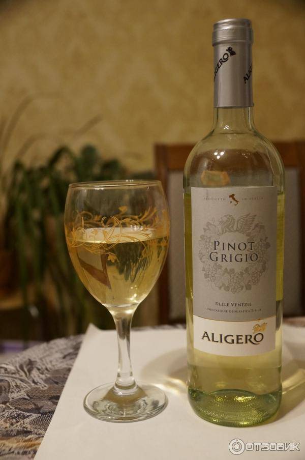 Пино гриджио (pinot grigio) – итальянец французского происхождения