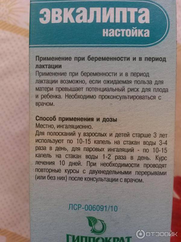 Отвар эвкалипта — применение при инфекционных и воспалительных заболеваниях