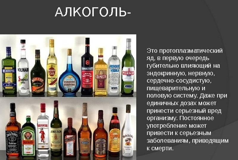 Виды алкогольных напитков: классификация и описание спиртных напитков