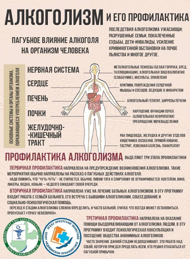 Восстановление после отказа от алкоголя: этапы, состояние организма; народные и медикаментозные средства для восстановления