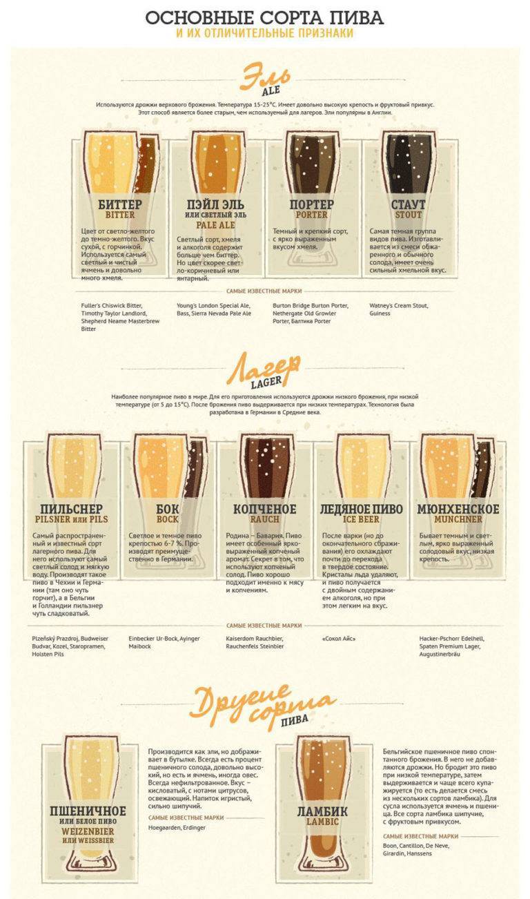 Чем отличает пиво от пивного напитка