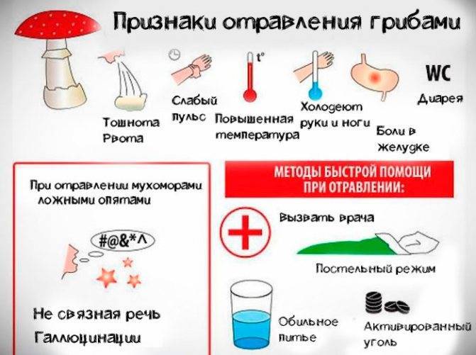 Отравление салатом через сколько проявляется