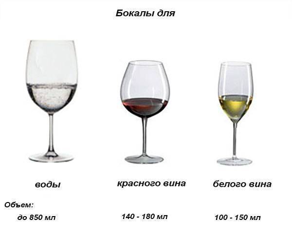 Чем отличаются бокалы для красного и белого вина