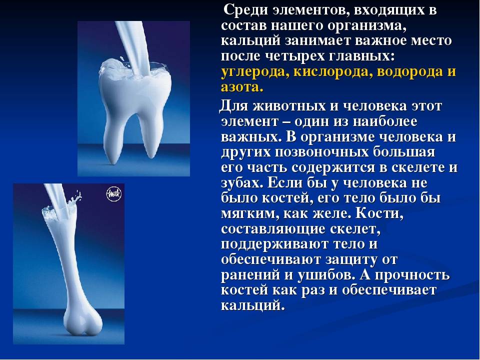 Роль кальция в организме человека проект