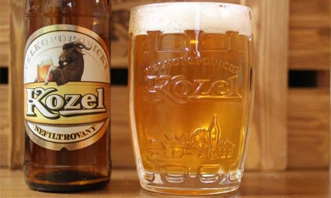 Пиво велкопоповицкий козел: история, виды и как пить