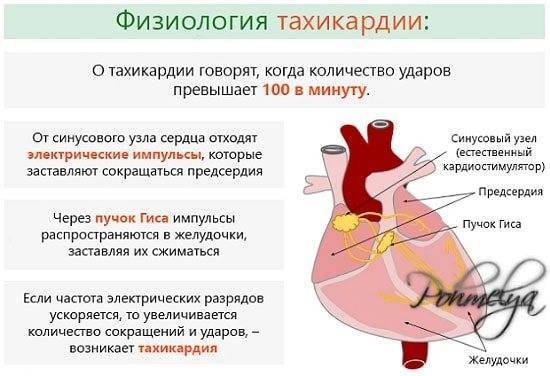 Учащенное сердцебиение с похмелья: что выпить при тахикардия, препараты и рецепты