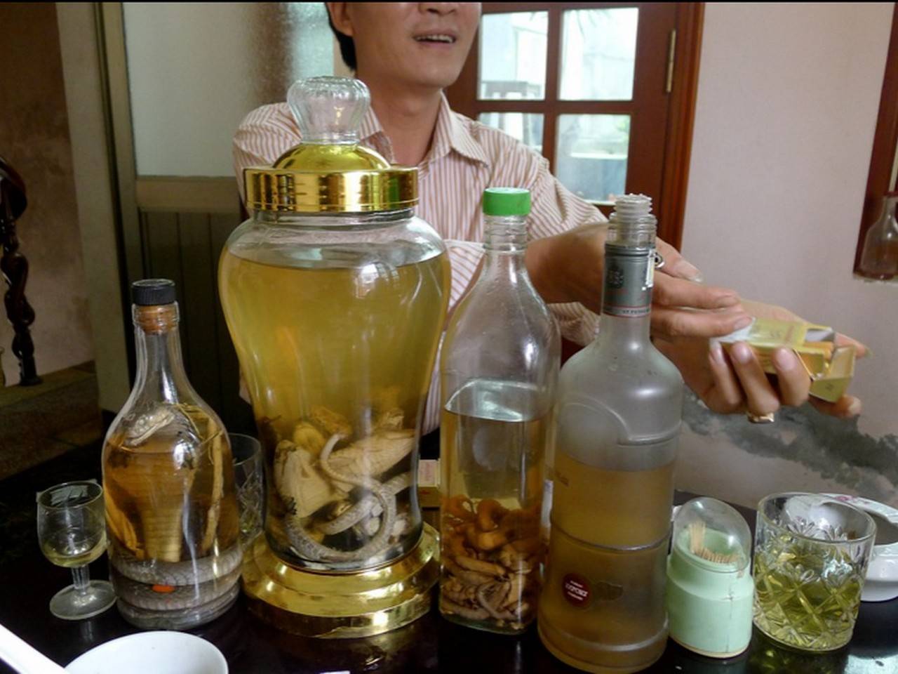 Китайская и вьетнамская водка со змеей — в чем разница и какая лучше