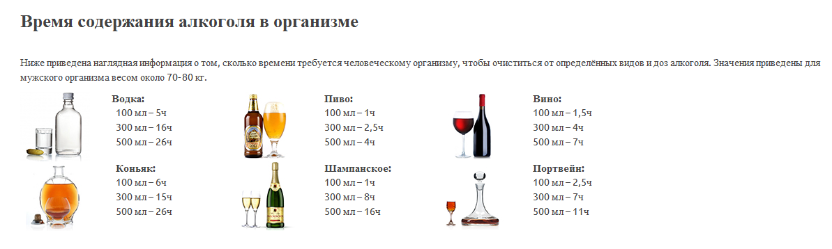 Сколько времени нужно чтобы протрезветь